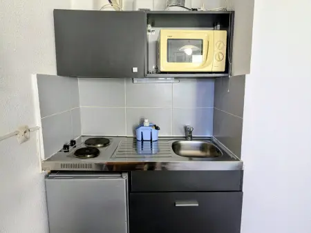 Studio 3 couchages au pied des pistes, animaux admis : photo 4