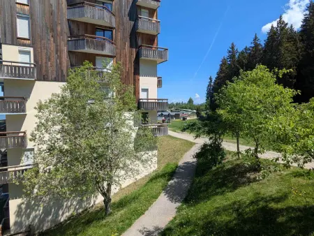 Studio 3 couchages au pied des pistes, animaux admis : photo 7