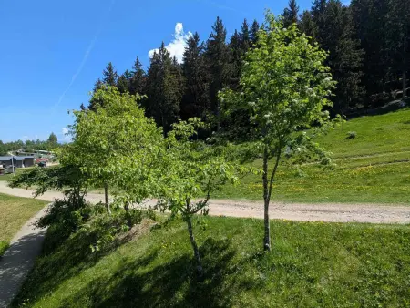 Studio 3 couchages au pied des pistes, animaux admis : photo 8