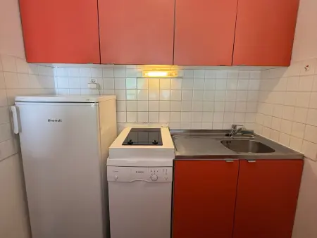 Appartement 2 pièces cabine aux Adrets-Prapoutel, vue pistes : photo 4