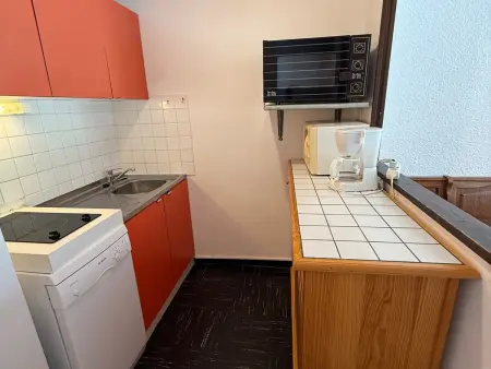 Appartement 2 pièces cabine aux Adrets-Prapoutel, vue pistes : photo 5