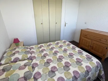 Appartement 2 pièces cabine aux Adrets-Prapoutel, vue pistes : photo 7