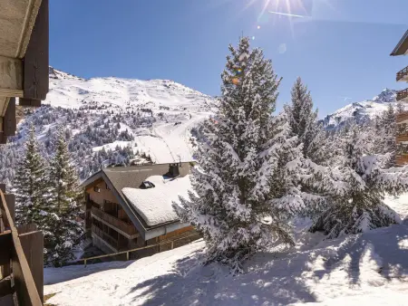 Appartement 3 pièces balcon Sud, vue pistes à Méribel : photo 18