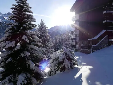 Appartement 3 pièces balcon Sud, vue pistes à Méribel : photo 20