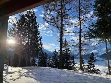 Appartement lumineux à La Rosière avec jardin et spa : photo 13