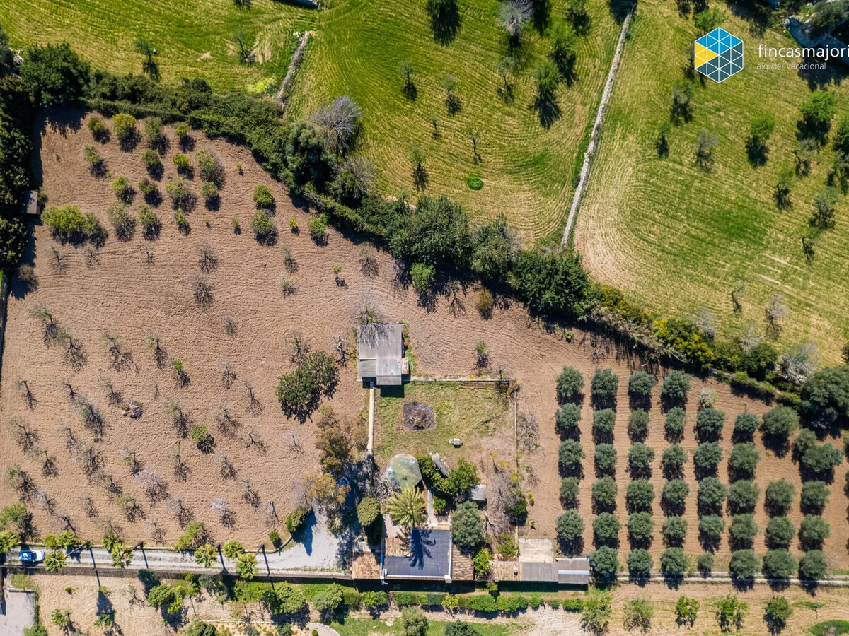 Maison 100 m² avec piscine et jardin à Caimari - Photo 19