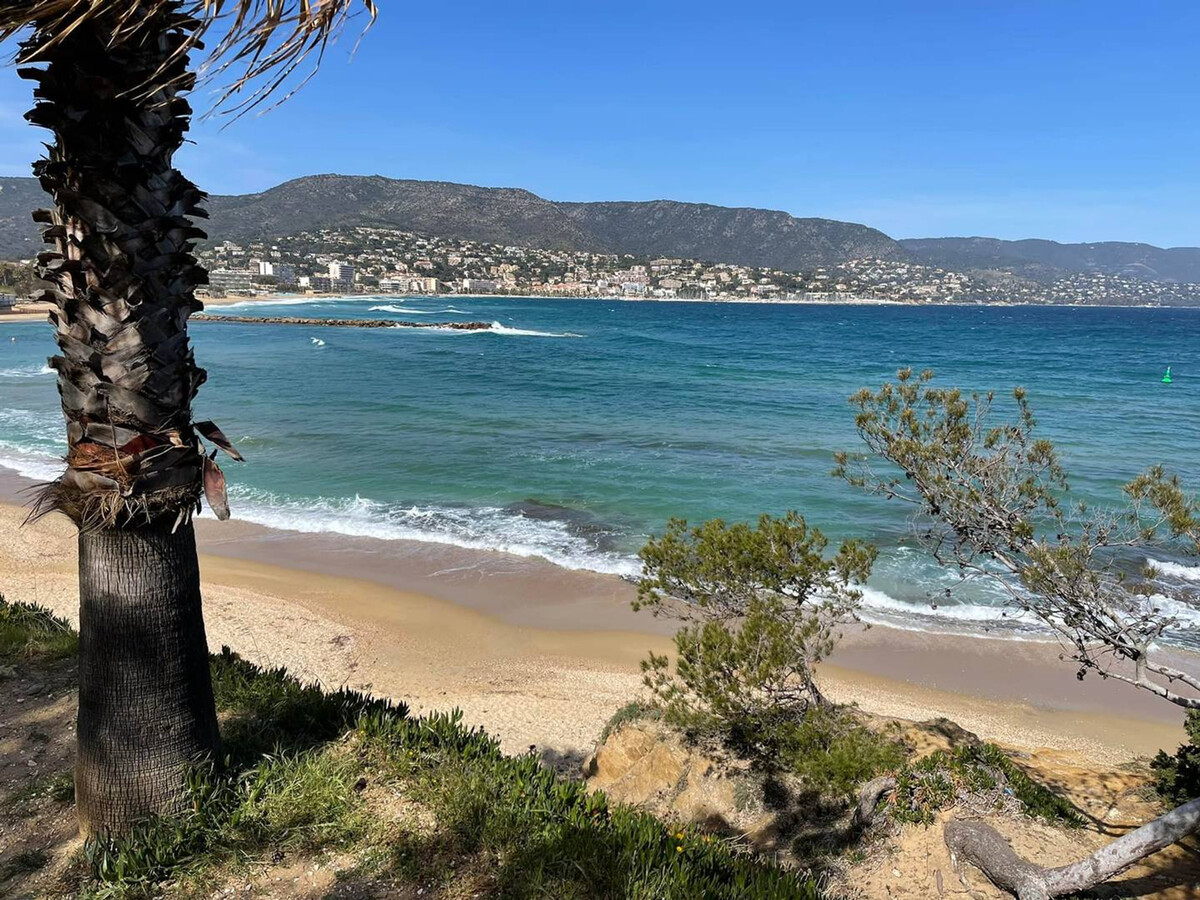 Studio 27m² bord de mer, accès plage direct à Bormes - Photo 15