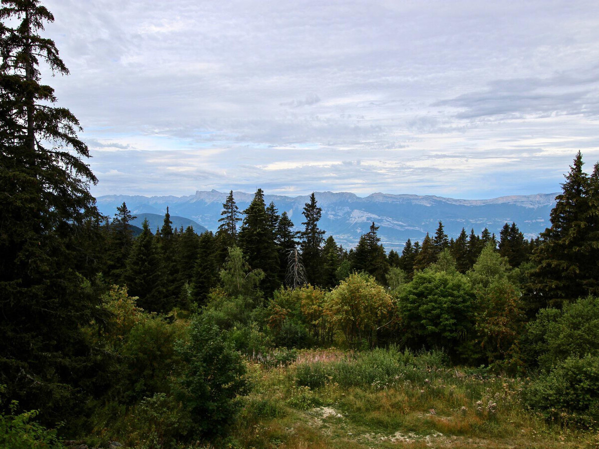 Appartement 31 m² balcon Sud-Ouest, 4 chambres à Chamrousse - Photo 12
