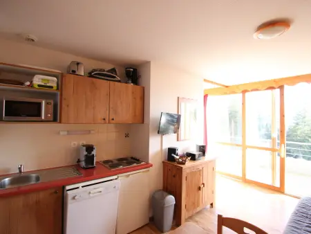 Appartement 2 pièces sud Chamrousse, proche pistes : photo 2