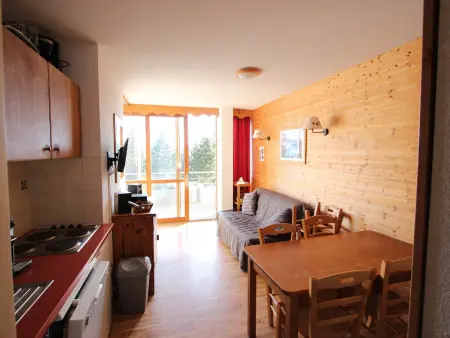 Appartement 2 pièces sud Chamrousse, proche pistes : photo 3