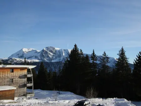 Appartement 2 pièces sud Chamrousse, proche pistes : photo 11