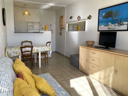 T2 avec grande terrasse privative à Balaruc-les-Bains, près de l'étang de Thau : photo 7