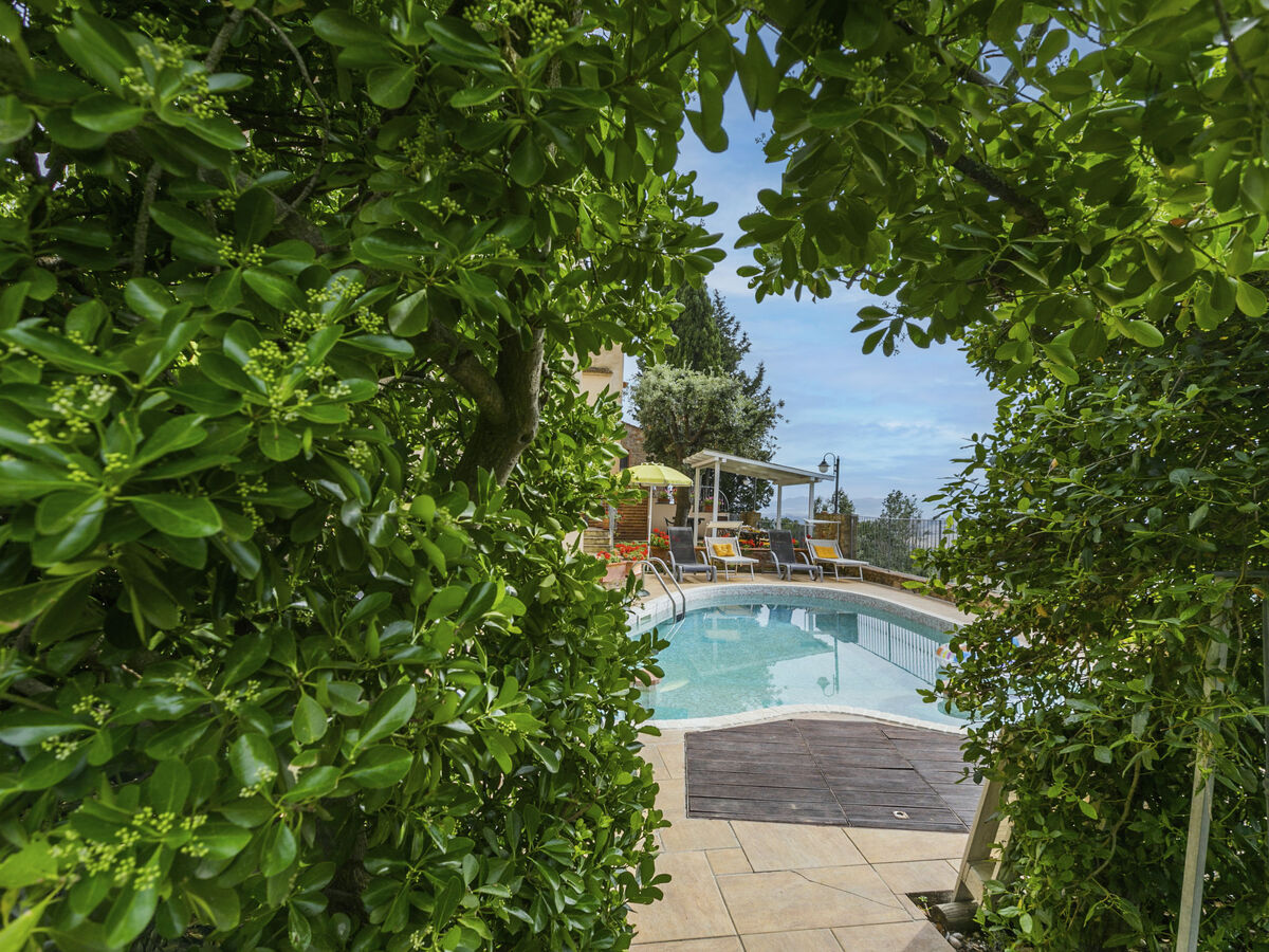 Antica Pietra, ancienne ferme toscane 5 chambres piscine - Photo 67
