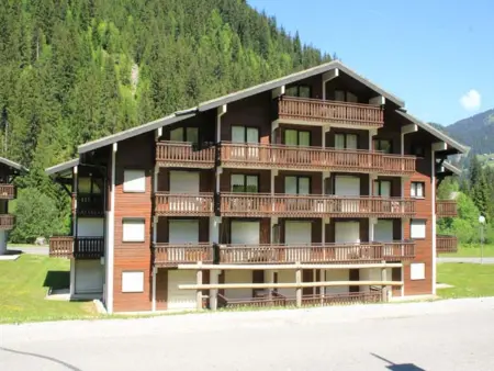 Appartement 2 pièces avec terrasse et parking à Châtel : photo 17