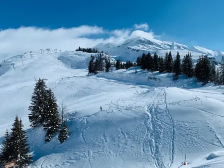 Appartement 6 pers. Avoriaz, balcon sud & ski à 100 m : photo 12