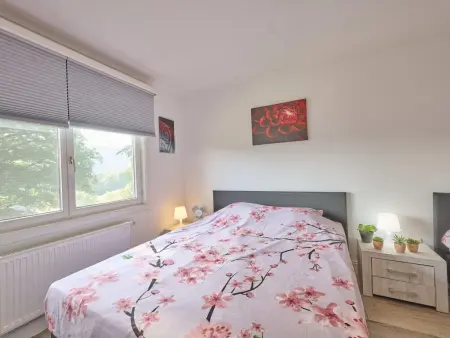 Maison de campagne avec vue sur la vallée à Lierneux, Ardennes : photo 8