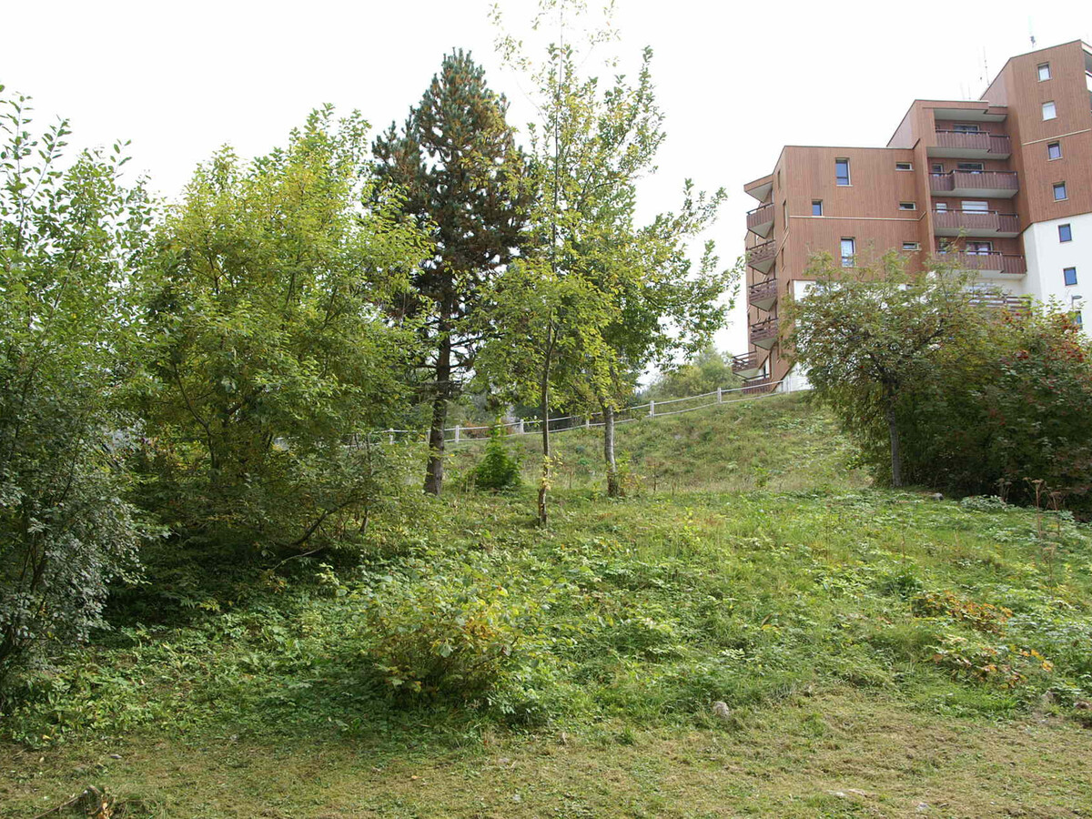 Studio 3 couchages avec balcon aux Adrets-Prapoutel - Photo 8
