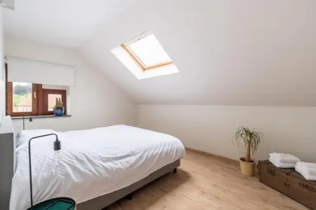 Huis Dries, Villa pittoresque Borgloon avec jardin - Photo 22