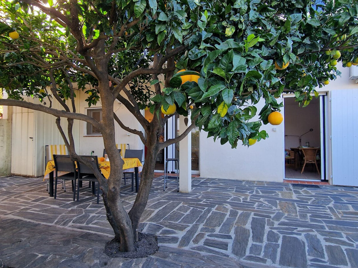 Appartement climatisé Banyuls-sur-Mer, terrasse, accès plages - Photo 1