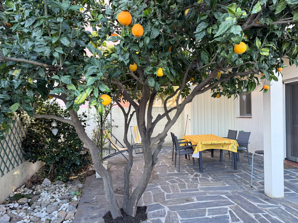 Appartement climatisé Banyuls-sur-Mer, terrasse, accès plages - Photo 6