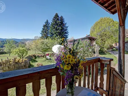 Gîte ferme en pierre, terrasse 100 m², animaux acceptés - Photo 2