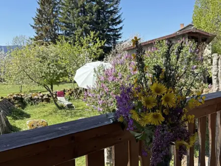Gîte ferme en pierre, terrasse 100 m², animaux acceptés - Photo 13