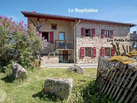 Gîte ferme en pierre, terrasse 100 m², animaux acceptés - Photo 15