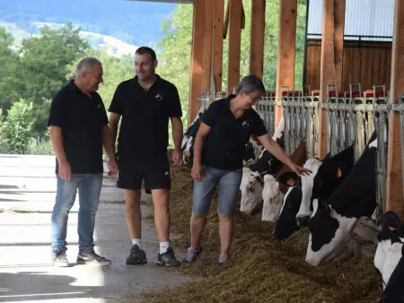 Gîte ferme en pierre, terrasse 100 m², animaux acceptés - Photo 19