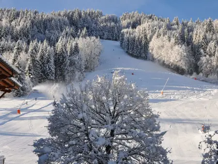 Studio 23 m² au pied des pistes à Morzine : photo 6