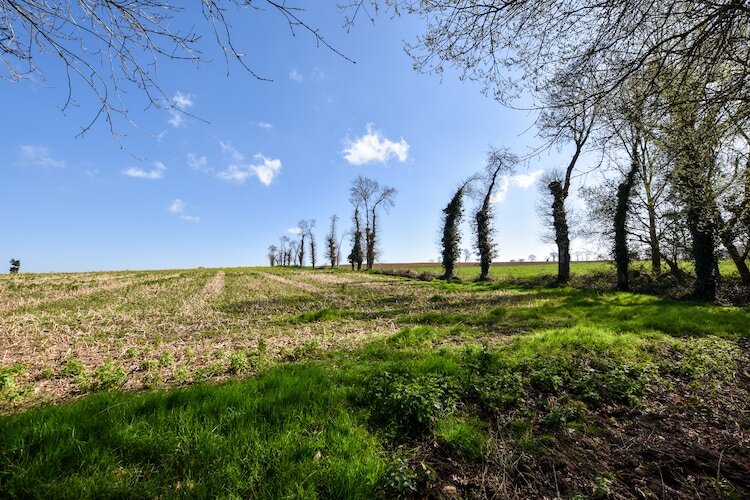 La Ville Hervé – Maison 5 pers. avec étang à Épiniac - Photo 28