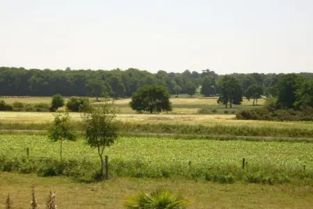Résidence Le Domaine de l'Emeraude 2, Appartement en Bretagne près de Côte d'Émeraude - Photo 29