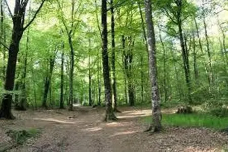 Résidence Le Domaine de l'Emeraude 1, Retraite bretonne avec piscine - Photo 19