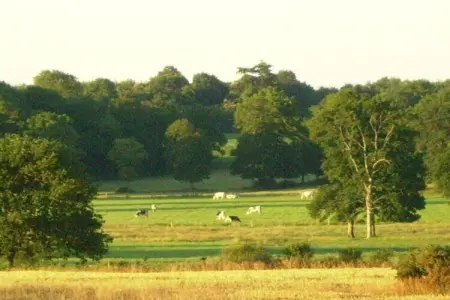Résidence Le Domaine de l'Emeraude 1, Retraite bretonne avec piscine - Photo 31