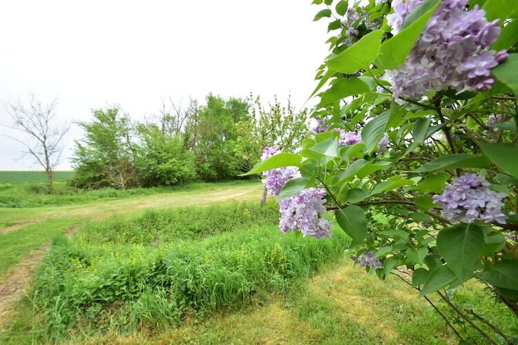 Ferme 6 pers à Giroux, terrasse et jardin avec piscine - Photo 31