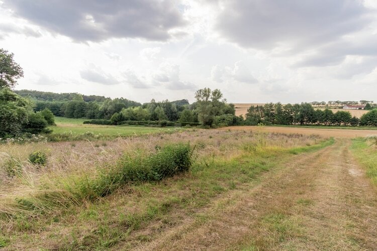 Le Grot, maison troglodyte 130 m² en vallée de la Loire - Photo 24