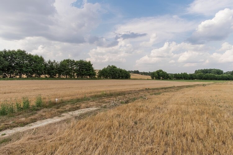 Le Grot, maison troglodyte 130 m² en vallée de la Loire - Photo 27