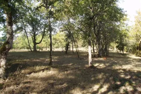 Les Fontanelles – Maison Quercy 6 pers., 4 200 m² nature : photo 8