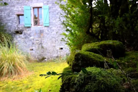 Les Fontanelles – Maison Quercy 6 pers., 4 200 m² nature : photo 9