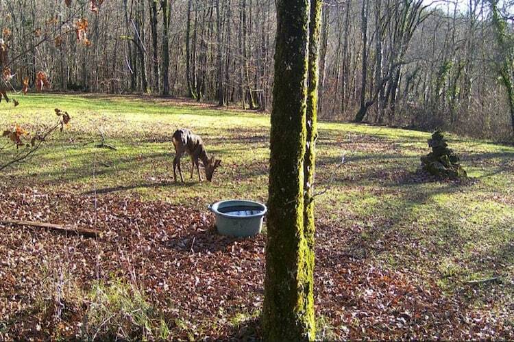 Villa Guyenne - 7 pers, jardin et piscine à Gavaudun - Photo 25