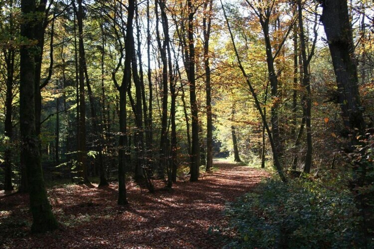 Villa Guyenne - 7 pers, jardin et piscine à Gavaudun - Photo 31