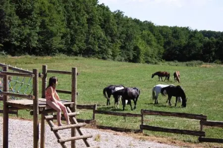 Domaine de Gavaudun - Maison Guyenne, Villa acceptant les animaux en Dordogne - Photo 35
