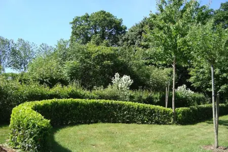 La petite Grenterie, maison 6 pers. à Gouvets : photo 23