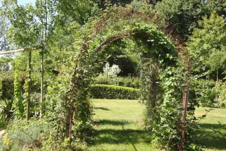 La petite Grenterie, maison 6 pers. à Gouvets : photo 28