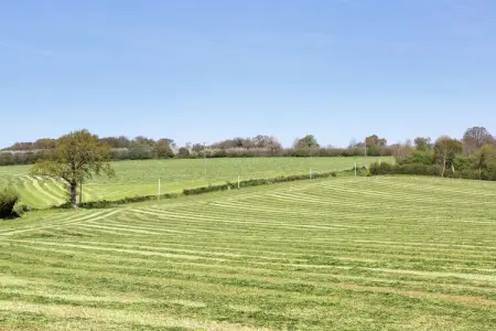 La petite Grenterie, maison 6 pers. à Gouvets : photo 31