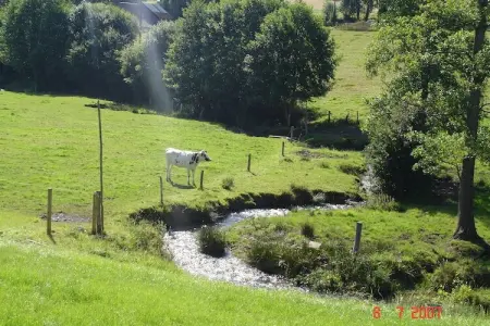 Gîte 6 pers, campagne normande à 30 km du Mont-Saint-Michel : photo 13