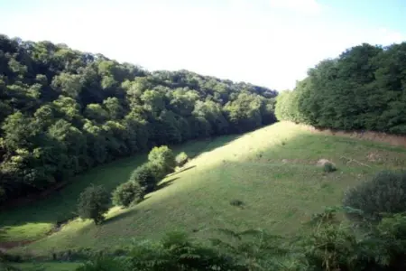 Gîte 6 pers, campagne normande à 30 km du Mont-Saint-Michel : photo 23