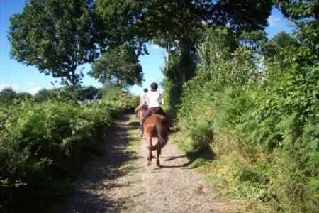 Gîte 6 pers, campagne normande à 30 km du Mont-Saint-Michel : photo 24