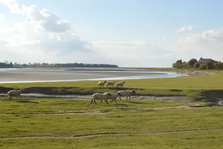 Gîte 6 pers, campagne normande à 30 km du Mont-Saint-Michel : photo 33