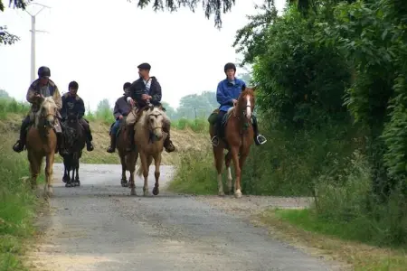 Gîte 6 pers, campagne normande à 30 km du Mont-Saint-Michel : photo 34