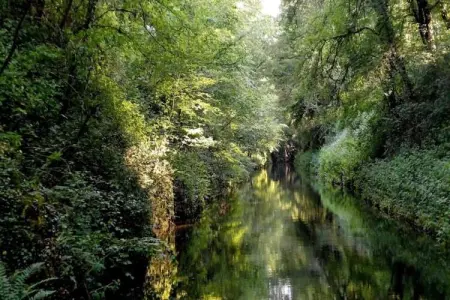 La maison du père Patin, Maison à Isenay près du lac et forêt - Photo 36